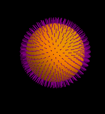 No-hair theorem